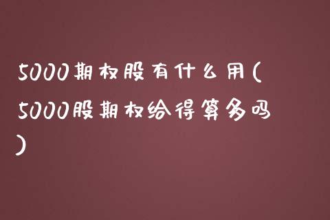 5000期权股有什么用(5000股期权给得算多吗)_https://www.liuyiidc.com_期货品种_第1张