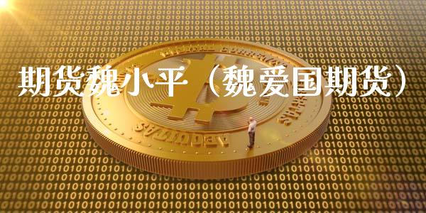 期货魏（魏爱国期货）_https://www.liuyiidc.com_原油期货_第1张