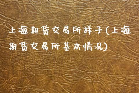 上海期货交易所样子(上海期货交易所基本情况)_https://www.liuyiidc.com_国际期货_第1张