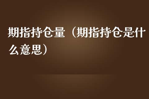 期指持仓量（期指持仓是什么意思）_https://www.liuyiidc.com_期货理财_第1张