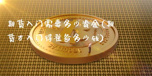 期货入门需要多少资金(期货才入门得准备多少钱)_https://www.liuyiidc.com_理财品种_第1张