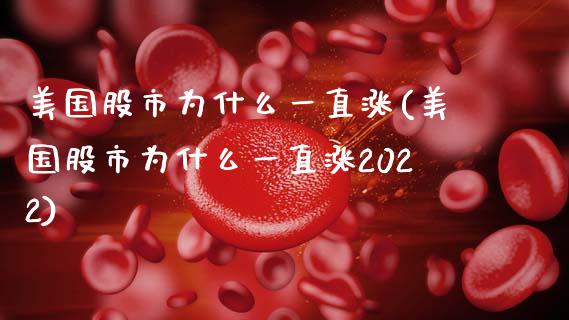 美国股市为什么一直涨(美国股市为什么一直涨2022)_https://www.liuyiidc.com_股票理财_第1张