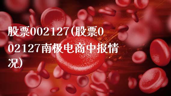 股票002127(股票002127南极电商中报情况)_https://www.liuyiidc.com_股票理财_第1张