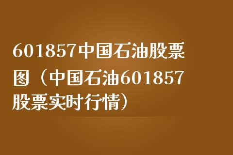 601857石油股票图（石油601857股票实时行情）_https://www.liuyiidc.com_期货理财_第1张