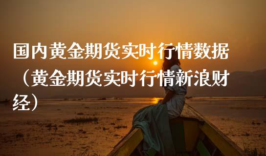 国内黄金期货实时行情数据（黄金期货实时行情财经）_https://www.liuyiidc.com_理财百科_第1张