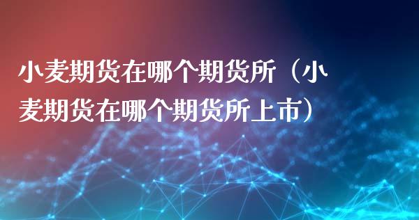 小麦期货在哪个期货所（小麦期货在哪个期货所上市）_https://www.liuyiidc.com_财经要闻_第1张