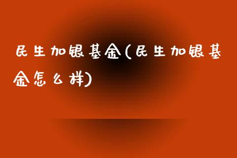 民生加银基金(民生加银基金怎么样)_https://www.liuyiidc.com_股票理财_第1张