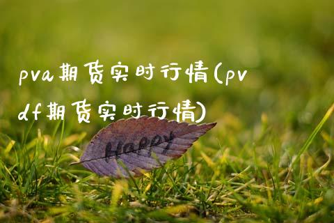 pva期货实时行情(pvdf期货实时行情)_https://www.liuyiidc.com_期货知识_第1张