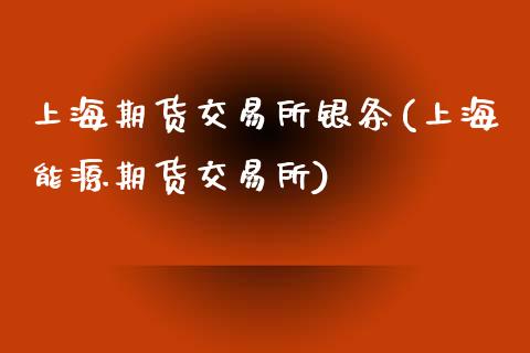 上海期货交易所银条(上海能源期货交易所)_https://www.liuyiidc.com_国际期货_第1张