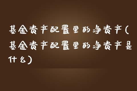 基金资产配置里的净资产(基金资产配置里的净资产是什么)_https://www.liuyiidc.com_财经要闻_第1张