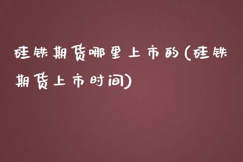 硅铁期货哪里上市的(硅铁期货上市时间)_https://www.liuyiidc.com_理财品种_第1张