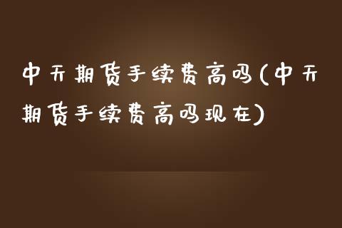 中天期货手续费高吗(中天期货手续费高吗现在)_https://www.liuyiidc.com_期货直播_第1张