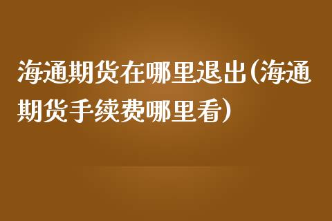 海通期货在哪里退出(海通期货手续费哪里看)_https://www.liuyiidc.com_理财百科_第1张