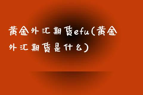 黄金外汇期货efu(黄金外汇期货是什么)_https://www.liuyiidc.com_国际期货_第1张