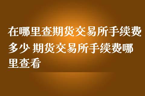 在哪里查期货交易所手续费多少 期货交易所手续费哪里查看_https://www.liuyiidc.com_期货理财_第1张