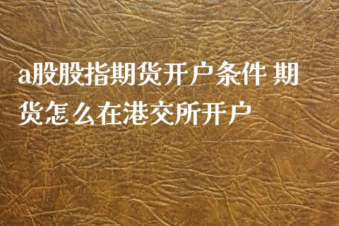 a股股指期货条件 期货怎么在港交所_https://www.liuyiidc.com_理财百科_第1张