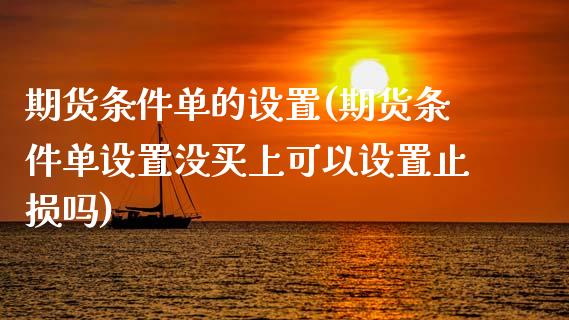 期货条件单的设置(期货条件单设置没买上可以设置止损吗)_https://www.liuyiidc.com_基金理财_第1张