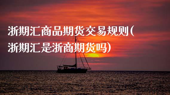 浙期汇商品期货交易规则(浙期汇是浙商期货吗)_https://www.liuyiidc.com_财经要闻_第1张