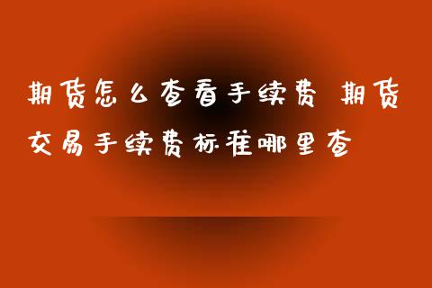 期货怎么查看手续费 期货交易手续费标准哪里查_https://www.liuyiidc.com_期货理财_第1张