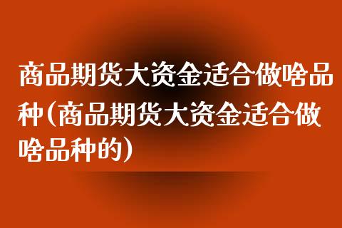 商品期货大资金适合做啥品种(商品期货大资金适合做啥品种的)_https://www.liuyiidc.com_财经要闻_第1张