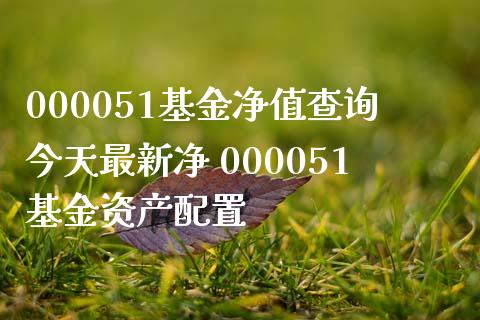 000051基金净值查询今天最新净 000051基金资产配置_https://www.liuyiidc.com_基金理财_第1张