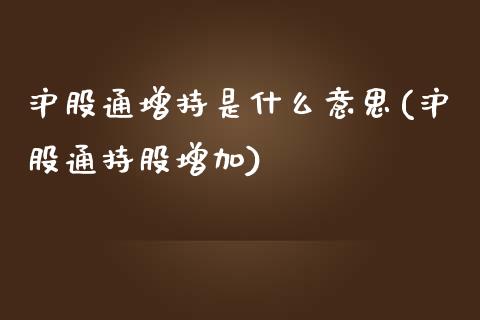 沪股通增持是什么意思(沪股通持股增加)_https://www.liuyiidc.com_理财品种_第1张