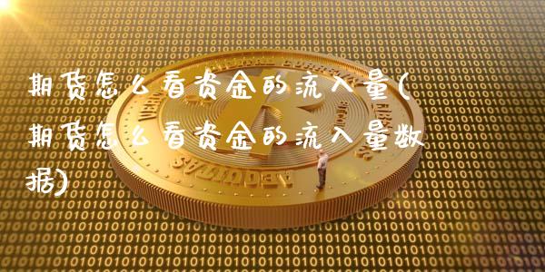 期货怎么看资金的流入量(期货怎么看资金的流入量数据)_https://www.liuyiidc.com_期货软件_第1张