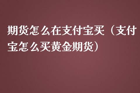 期货怎么在支付宝买（支付宝怎么买黄金期货）_https://www.liuyiidc.com_国际期货_第1张