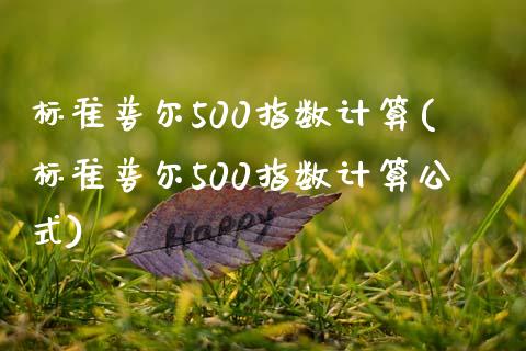 标准普尔500指数计算(标准普尔500指数计算公式)