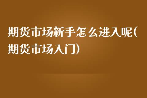 期货市场新手怎么进入呢(期货市场入门)_https://www.liuyiidc.com_基金理财_第1张