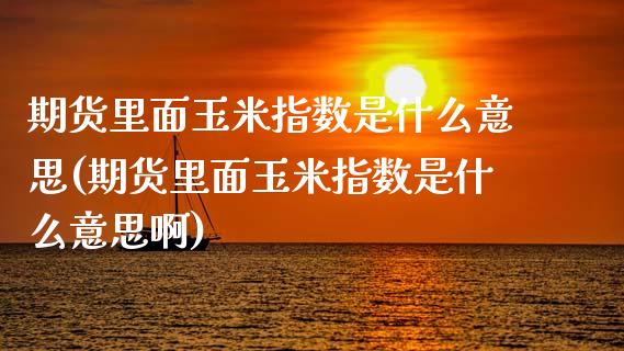 期货里面玉米指数是什么意思(期货里面玉米指数是什么意思啊)_https://www.liuyiidc.com_基金理财_第1张