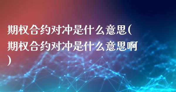 期权合约对冲是什么意思(期权合约对冲是什么意思啊)_https://www.liuyiidc.com_国际期货_第1张