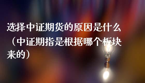 选择中证期货的原因是什么（中证期指是根据哪个板块来的）_https://www.liuyiidc.com_理财百科_第1张