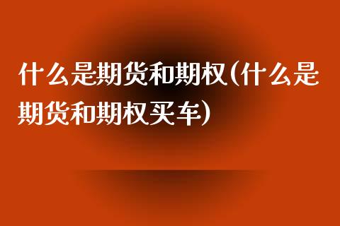 什么是期货和期权(什么是期货和期权买车)_https://www.liuyiidc.com_期货知识_第1张