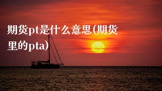 期货pt是什么意思(期货里的pta)_https://www.liuyiidc.com_国际期货_第1张