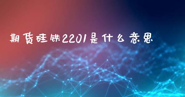 期货硅铁2201是什么意思_https://www.liuyiidc.com_期货品种_第1张