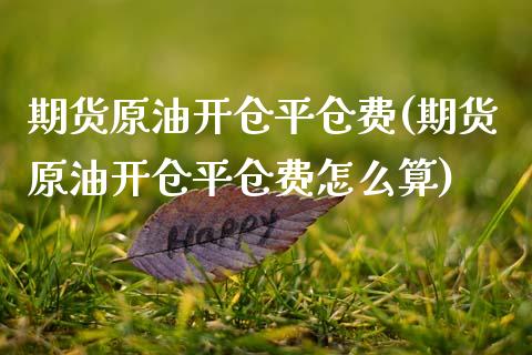 期货原油开仓平仓费(期货原油开仓平仓费怎么算)_https://www.liuyiidc.com_期货品种_第1张