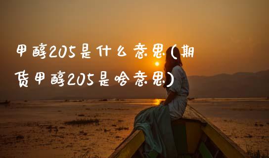 甲醇205是什么意思(期货甲醇205是啥意思)_https://www.liuyiidc.com_恒生指数_第1张