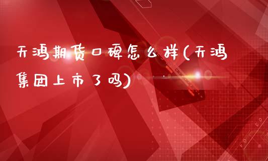 天鸿期货口碑怎么样(天鸿集团上市了吗)_https://www.liuyiidc.com_理财品种_第1张