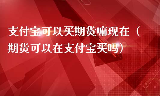 支付宝可以买期货嘛现在（期货可以在支付宝买吗）_https://www.liuyiidc.com_黄金期货_第1张