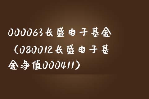 000063长盛电子基金（080012长盛电子基金净值000411）_https://www.liuyiidc.com_基金理财_第1张