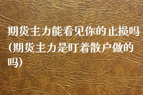 期货主力能看见你的止损吗(期货主力是盯着散户做的吗)_https://www.liuyiidc.com_期货软件_第1张