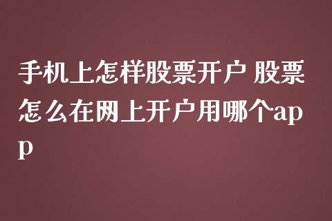 上怎样股票 股票怎么在网上用哪个_https://www.liuyiidc.com_期货理财_第1张