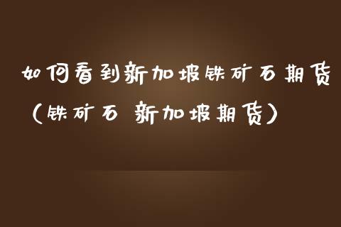 如何看到新加坡铁矿石期货（铁矿石 新加坡期货）_https://www.liuyiidc.com_理财百科_第1张