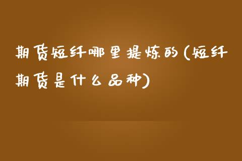 期货短纤哪里提炼的(短纤期货是什么品种)_https://www.liuyiidc.com_期货品种_第1张