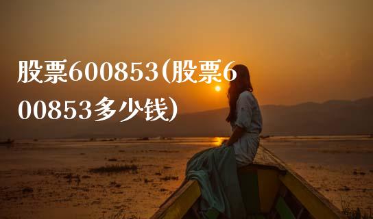 股票600853(股票600853多少钱)_https://www.liuyiidc.com_股票理财_第1张