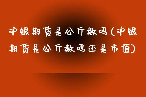 沪银期货是公斤数吗(沪银期货是公斤数吗还是市值)_https://www.liuyiidc.com_道指直播_第1张