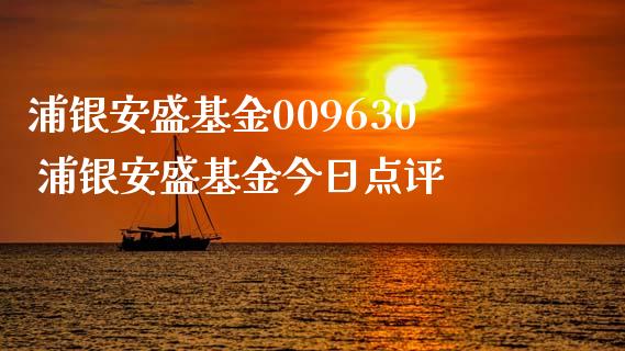 浦银安盛基金009630 浦银安盛基金今日点评