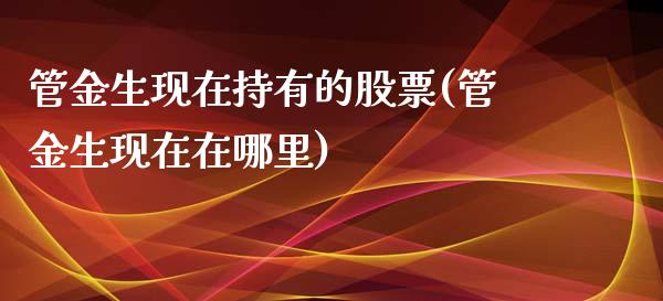 管金生现在持有的股票(管金生现在在哪里)_https://www.liuyiidc.com_期货理财_第1张