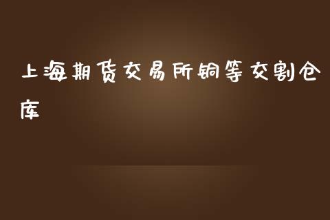 上海期货交易所铜等交割仓库_https://www.liuyiidc.com_期货软件_第1张